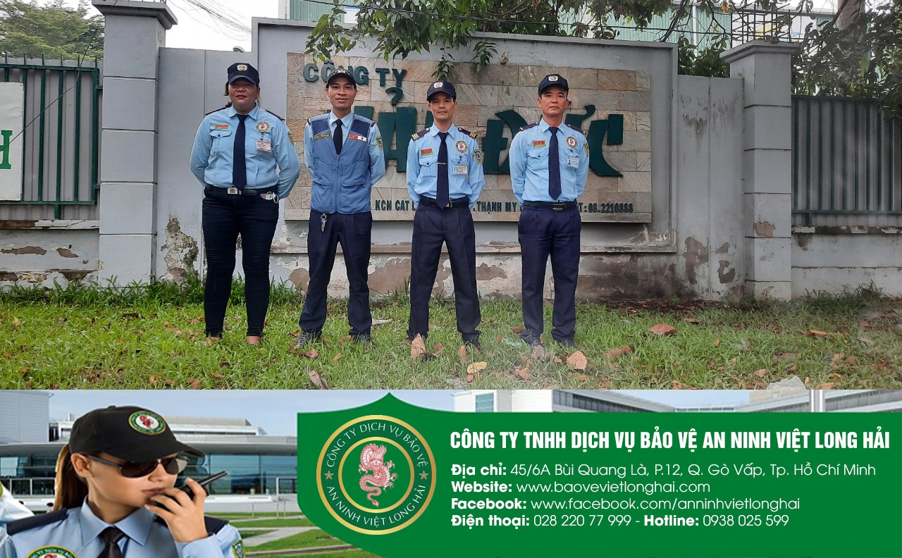 Quy trình làm việc khoa học và rõ ràng